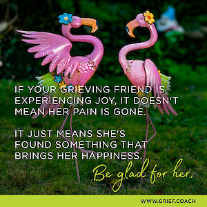 A grief.coach Instagram graphic of two pink flamingo lawn ornaments on grass, with the text: 'If your grieving friend is experiencing joy, it doesn't mean her pain is gone. It just means she's found something that brings her happiness. Be glad for her.'