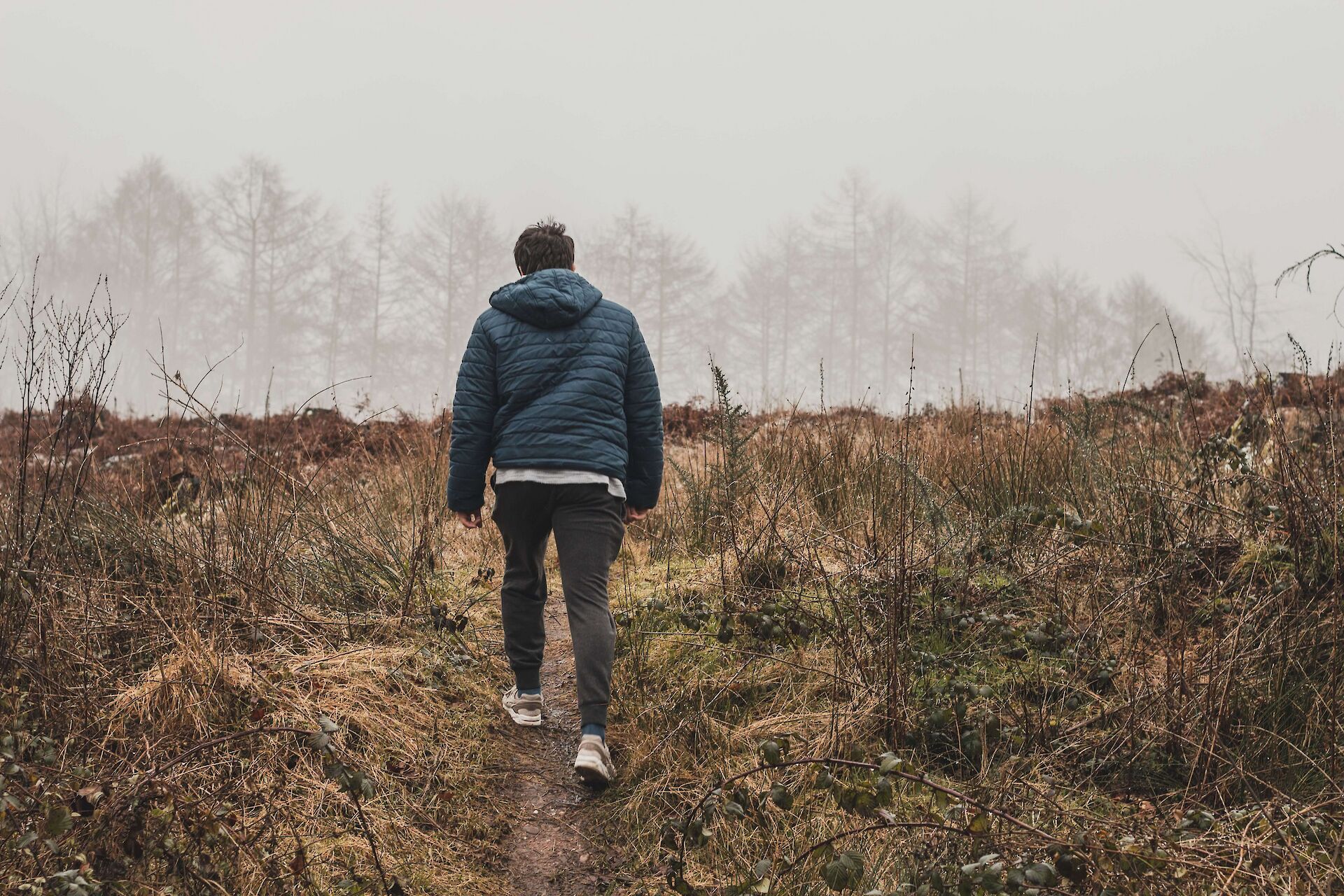 A person walking alone on a quiet forest path, symbolizing the complex journey of grief after a suicide loss.