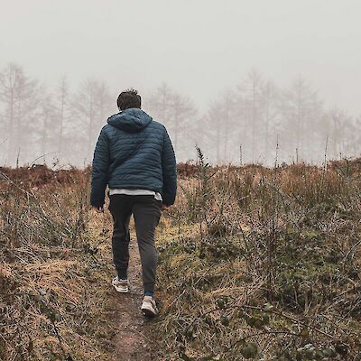 A person walking alone on a quiet forest path, symbolizing the complex journey of grief after a suicide loss.