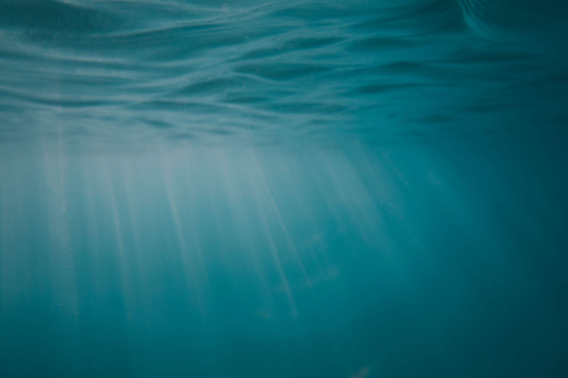 Grief after a traumatic loss is like being under water